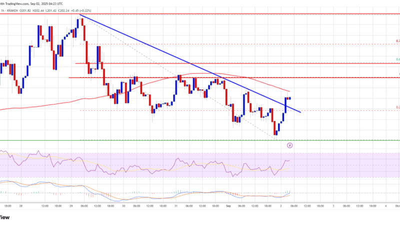 Solana (SOL) Bulls Eye Control – Will Recovery Turn Into a Surge?