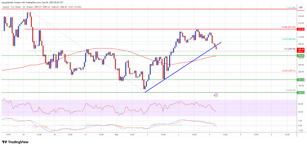 Solana (SOL) Faces Heavy Resistance – Can Bulls Prevent a $200 Breakdown?
