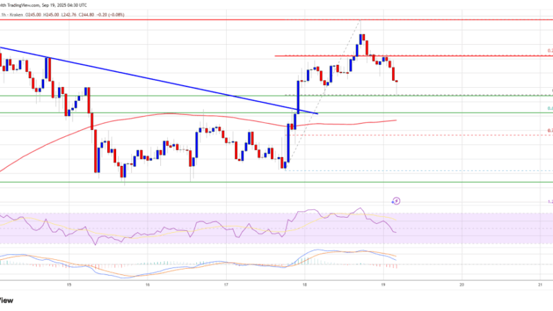Solana (SOL) Moves Higher – Bulls Target Next Big Level as Volume Builds