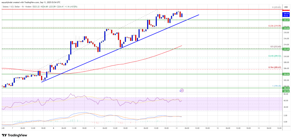 Solana (SOL) Pushes Higher – Is More Upside Still Ahead?