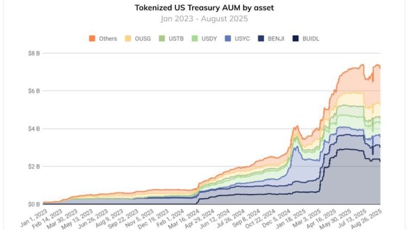 These 2 Growth Engines Are Driving Billions Into US Crypto Adoption: Chainalysis