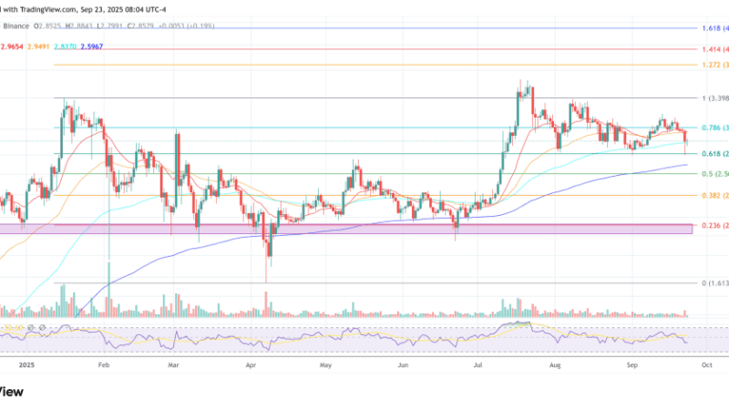 Why Aren’t Institutions Adopting XRP ‘Massively’? Pundit Answers