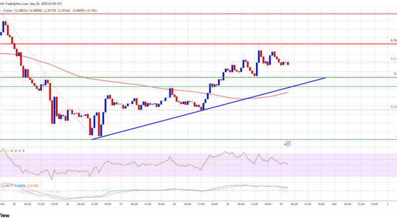 XRP Moves Higher – Approaching Resistance That Could Decide Next Trend