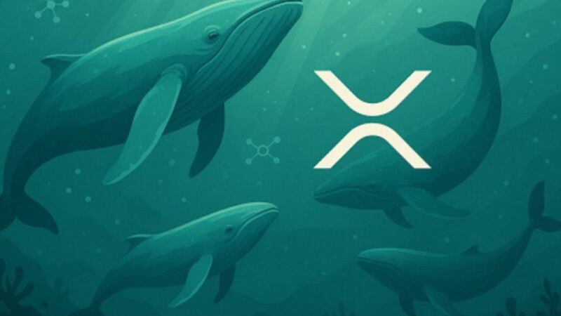XRP News Today: Ripple Price Prediction & Latest Updates From Viral Altcoin Remittix