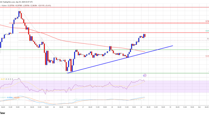 XRP Price Attempts Recovery – Can Market Push Higher Despite Strong Barriers?
