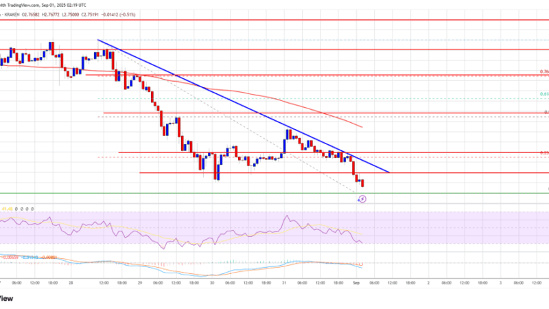 XRP Price Declines Further – Is a Bigger Crash on the Horizon?