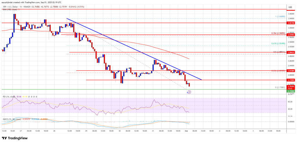 XRP Price Declines Further – Is a Bigger Crash on the Horizon?