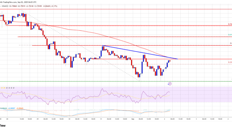 XRP Price Recovery in Focus – Can It Overcome Selling Pressure?