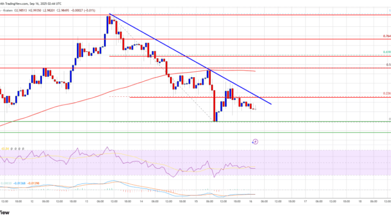 XRP Price Slips Under $3 – Can Bulls Stage a Quick Rebound?