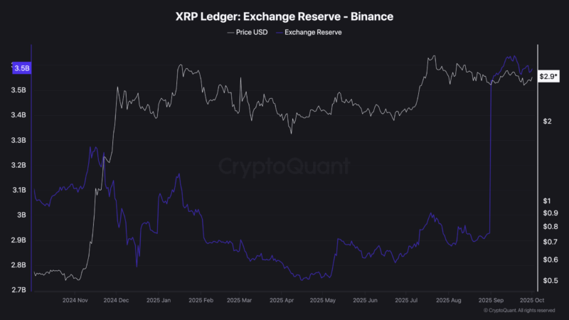 250,000,000 XRP Bought in 2 Days: What Are Ripple Whales Up To?