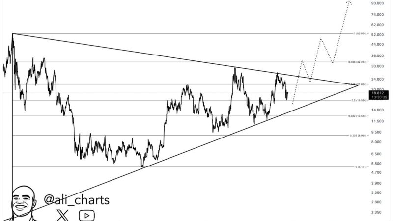 54,470,000 LINK Bought at $16: Major Support Zone Forms