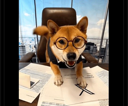 All It Took Was A Tweet: FLOKI Jumps 27% After Musk Mentions It