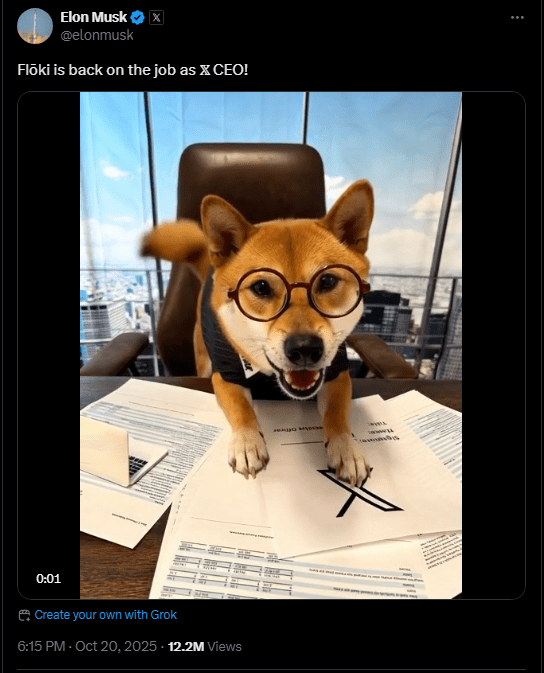 All It Took Was A Tweet: FLOKI Jumps 27% After Musk Mentions It