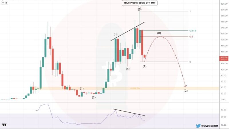 Analyst Warns Solana Price Risks Major Breakdown, Should Investors Worry?