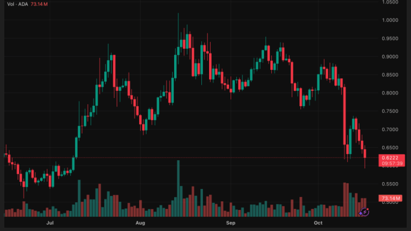 Analysts Caution Cardano (ADA) May Drop Further Before $1 Rebound After 12% Dip