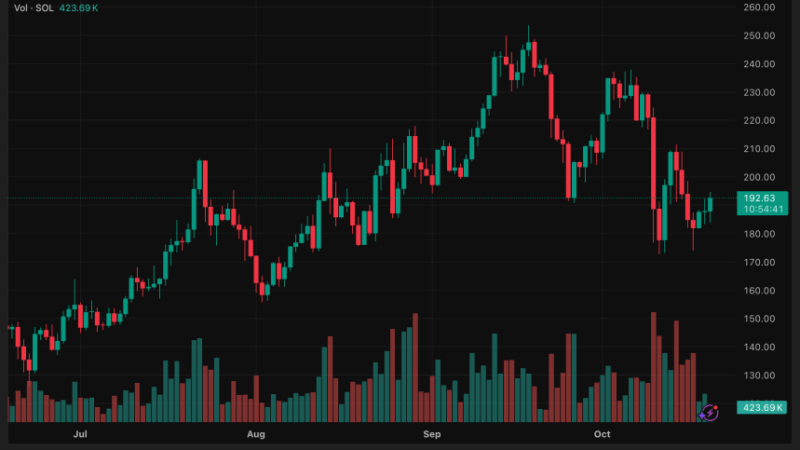 Analysts See $250 Rally Ahead as Solana Holds Key Support and Trading Volume Surges