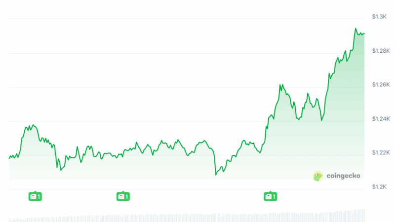 Binance Coin (BNB) Flips Ripple (XRP) Following Record-Breaking Price Surge