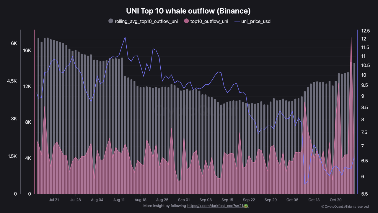 Binance Whales Turn Active On Uniswap As Outflows Hit Multi-Month Highs – Details