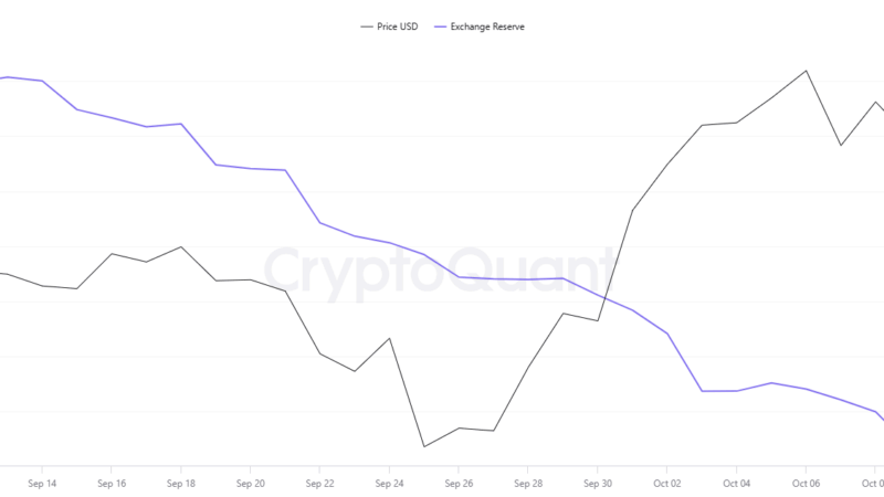 Bitcoin (BTC) Has 100 Days: Boom or Doom After That? (Analyst Weighs in)