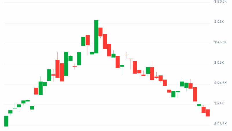 Bitcoin (BTC) Taps a New ATH Above $126K, These Alts Head South: Market Watch