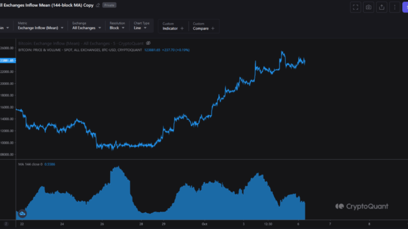 Bitcoin Exchange Inflows Shrink Amid $125,000 Rally – More Upside Ahead?