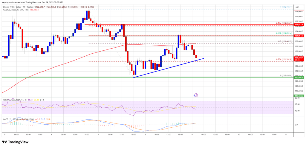 Bitcoin Pauses Below Key Levels – Can It Regain Momentum For A Rally?