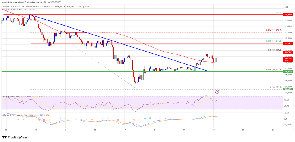 Bitcoin Price Stabilizes After Drop — Early Signs Of Recovery Emerge