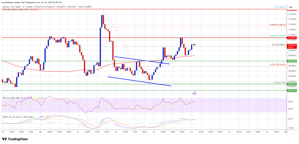 Bitcoin Price Stabilizes — Buyers Step In To Prevent Deeper Correction