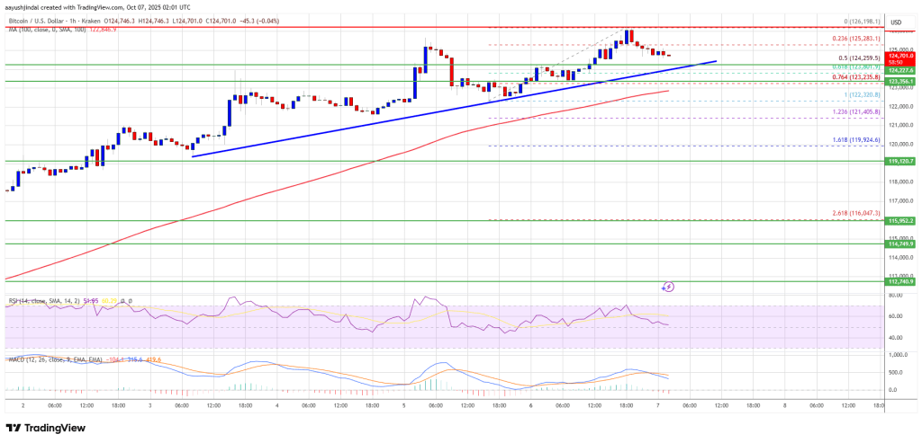 Bitcoin Price Surges To New Peak – What Could Fuel The Next Leg Up?