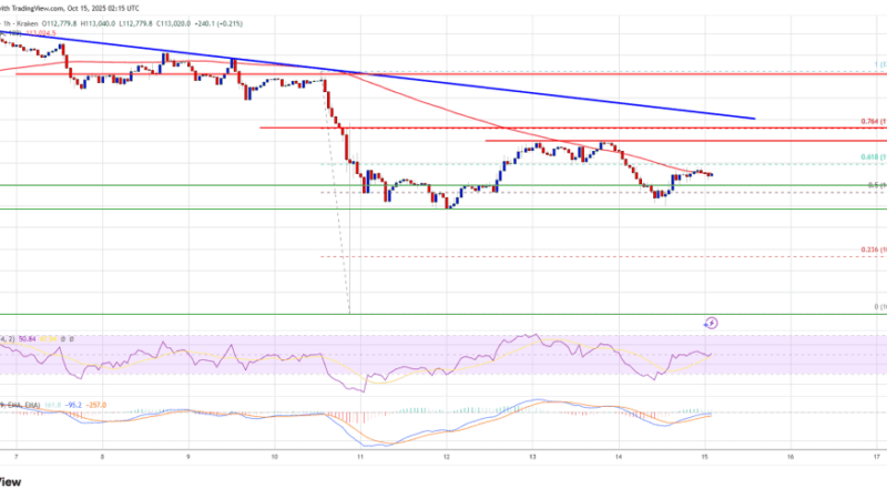 Bitcoin Price Under Pressure – Charts Turn Bearish As Bulls Lose Control