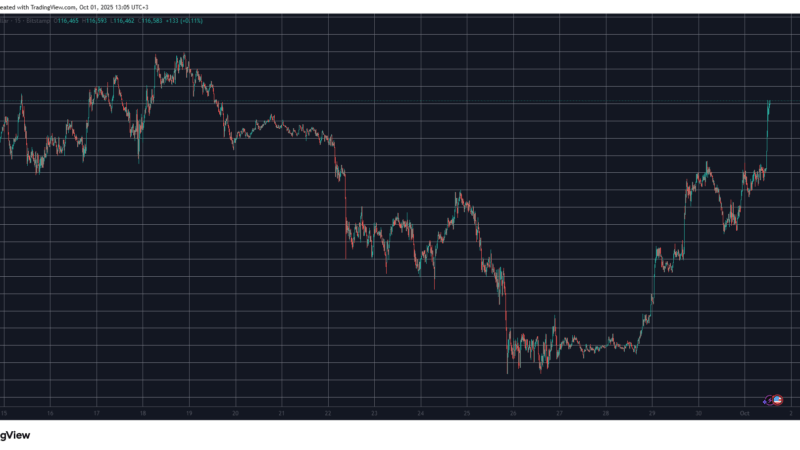 Bitcoin Skyrockets to 2-Week High as ZEC, PUMP, PENGU Chart Double-Digit Gains: Market Watch