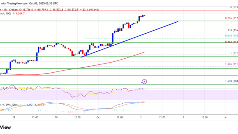 Bitcoin Smashes Past $118K – Is Stronger Bullish Momentum Now Set To Begin?