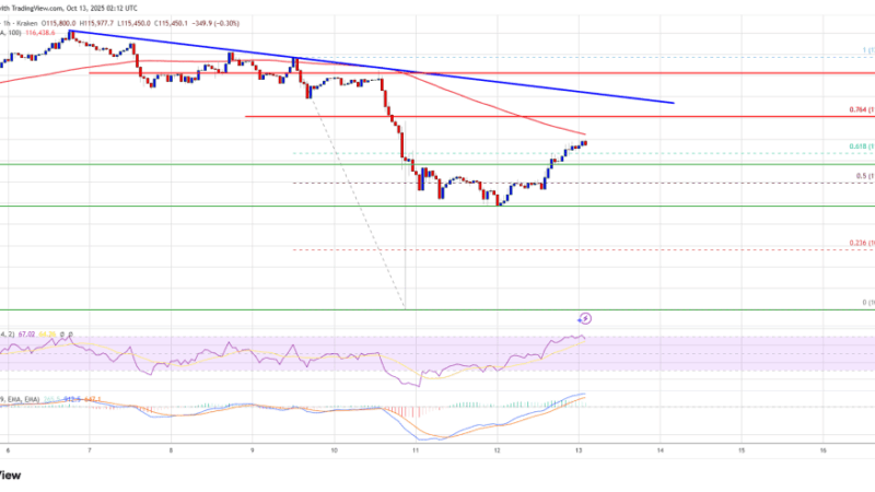 Bitcoin V-Shaped Recovery Faces Hurdles – Can Bulls Sustain The Momentum?
