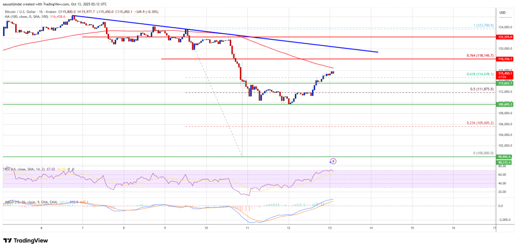 Bitcoin V-Shaped Recovery Faces Hurdles – Can Bulls Sustain The Momentum?