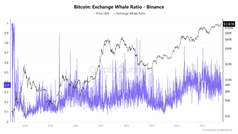 Bitcoin Whale Activity Reflects Sustained Confidence As $163K Comes In Sight — Details