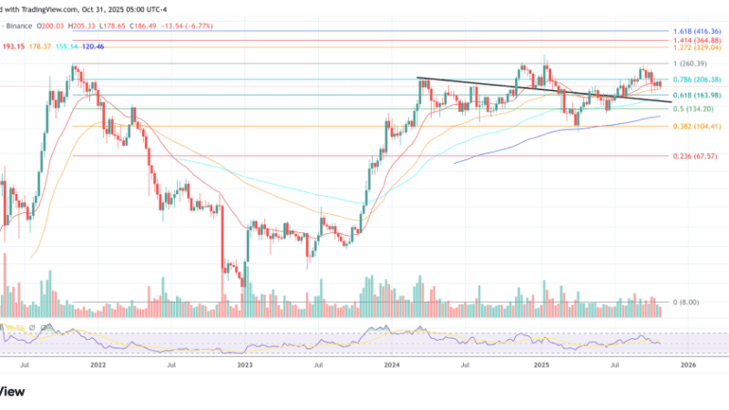 Bitwise CIO Calls Solana An ‘Explosive’ Two-Way Bet: Here’s Why