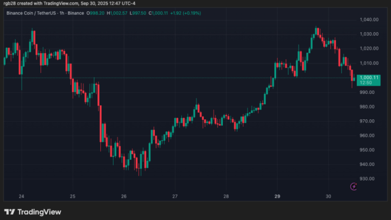 BNB Eyes New Highs As Price Reclaims $1,000 – Is A 30% Rally Coming?