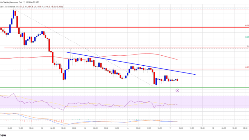 BNB Price Retreats After Rally — More Downside Risks On The Horizon