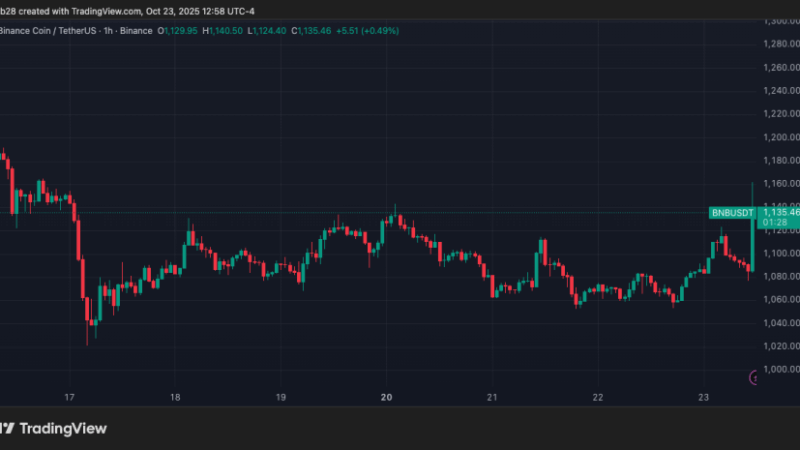 BNB Reclaims $1,100 As Binance Founder Receives Presidential Pardon – New Rally Coming?