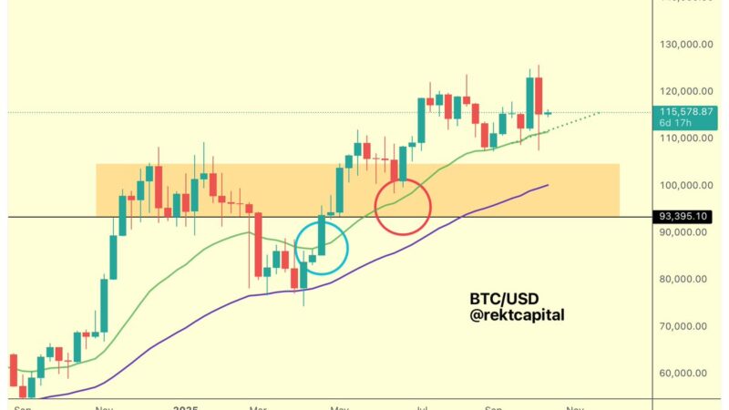 BTC Holds Key Support: How High Can Bitcoin Go Next?