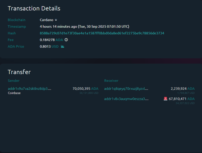 Cardano Whale Makes $54 Million Coinbase Outflow: Sign Of Dip Buying?