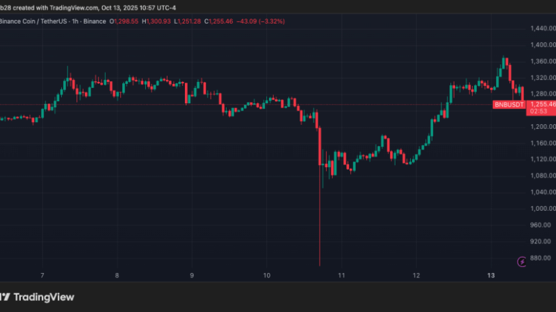 Chinese Investment Bank Eyes $600 Million Raise For BNB Treasury Company