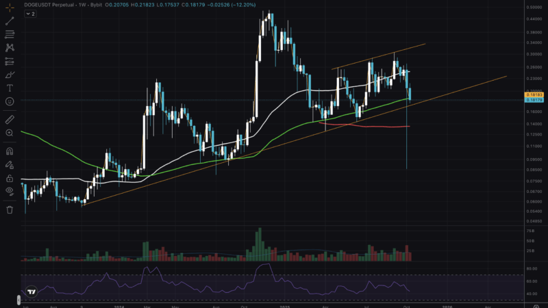 DOGE Price Breaks Key Support: Is Alt Run No More?