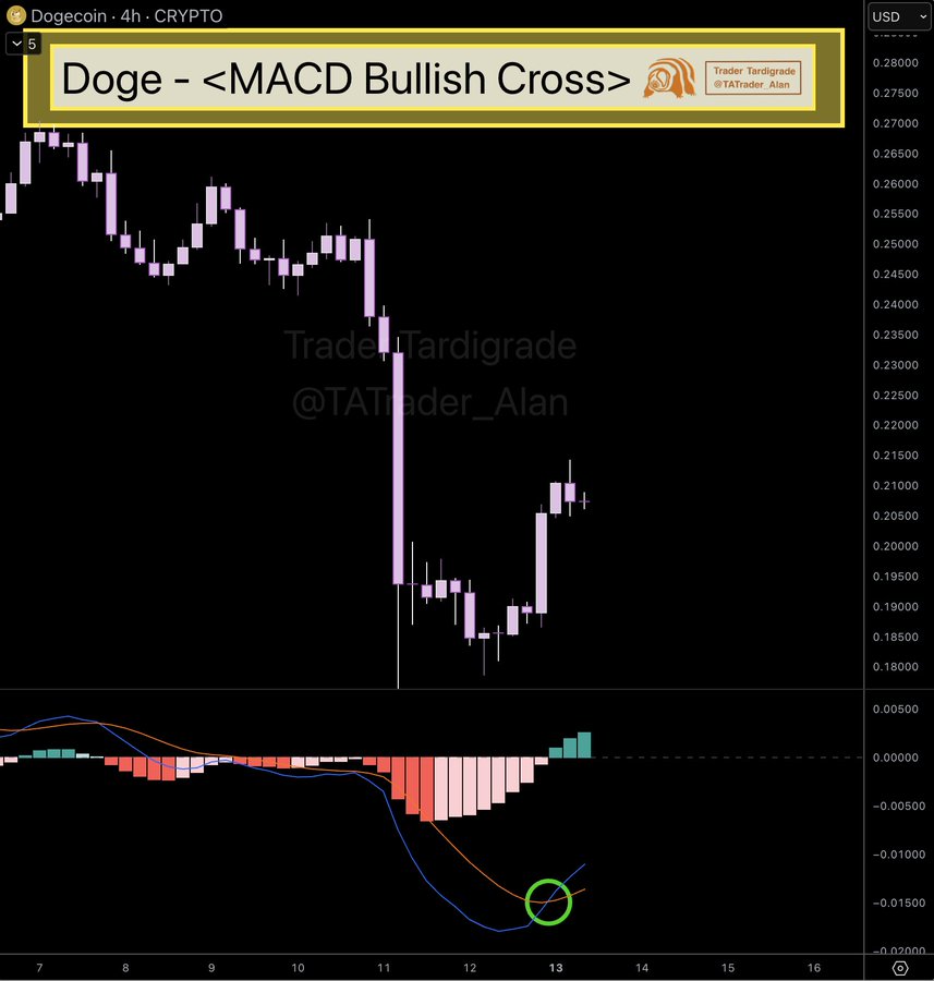 DOGE Up 11%: Bullish MACD Cross Hints at Reversal