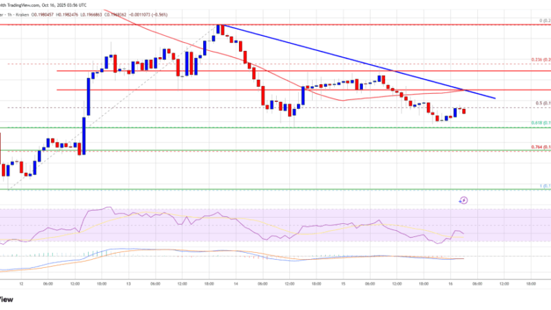 Dogecoin (DOGE) Bears Dominate — Price Action Suggests More Downside Ahead