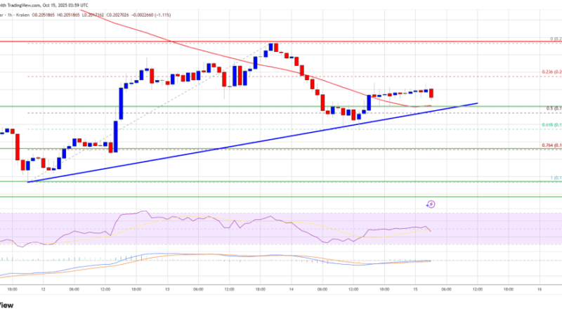 Dogecoin (DOGE) Resilient Above $0.20 – Can Momentum Shift Toward Fresh Upside?