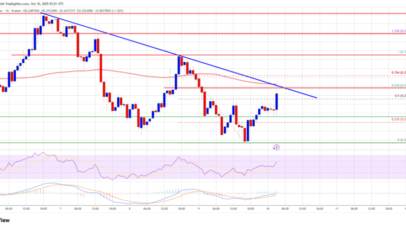 Dogecoin (DOGE) Tries To Bounce – But Resistance Barrier Keeps Rally In Check