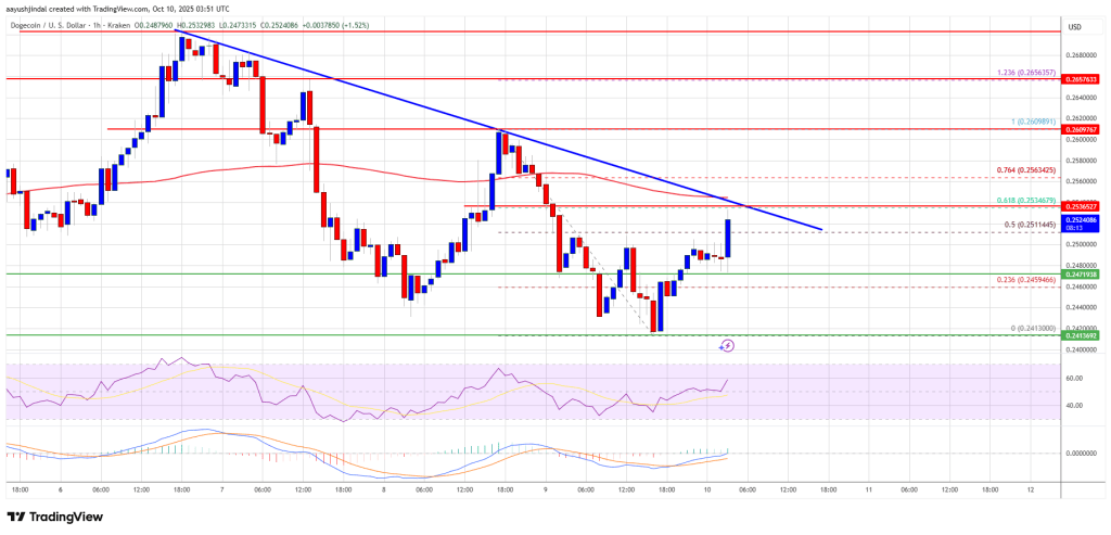 Dogecoin (DOGE) Tries To Bounce – But Resistance Barrier Keeps Rally In Check
