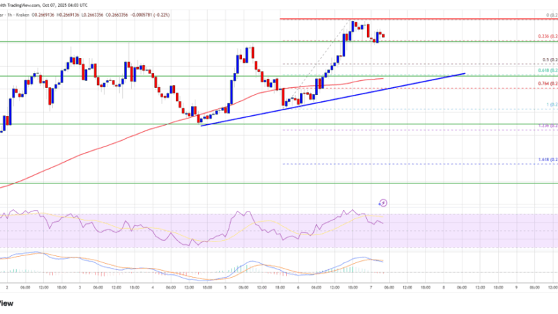 Dogecoin (DOGE) Turns Higher – Is This The Beginning Of A Stronger Recovery?
