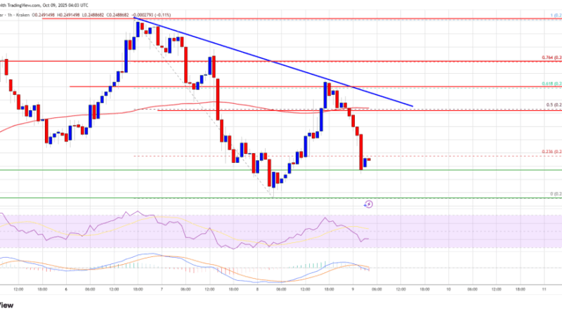 Dogecoin (DOGE) Weakens Again – Bulls On Alert As Downside Risks Resurface